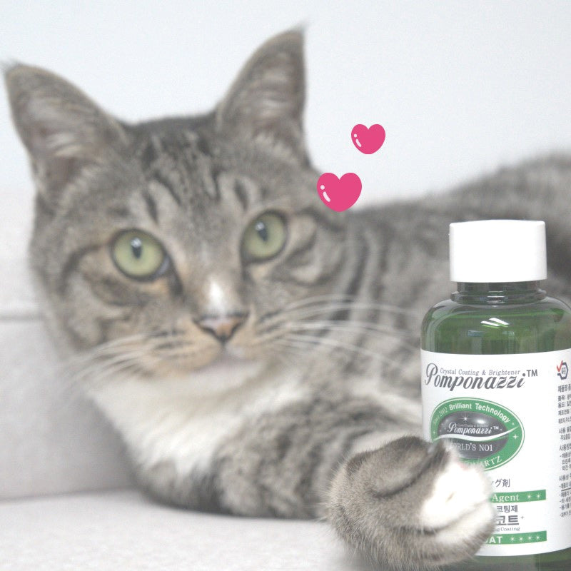 LIVING COAT X KITTIES: Why? What is it? For who? For what?
