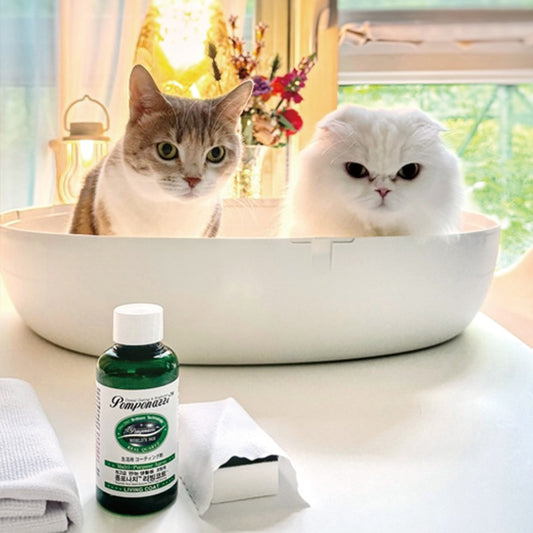 POMPONAZZI LIVING COAT X KITTIES: What does meow mean?
