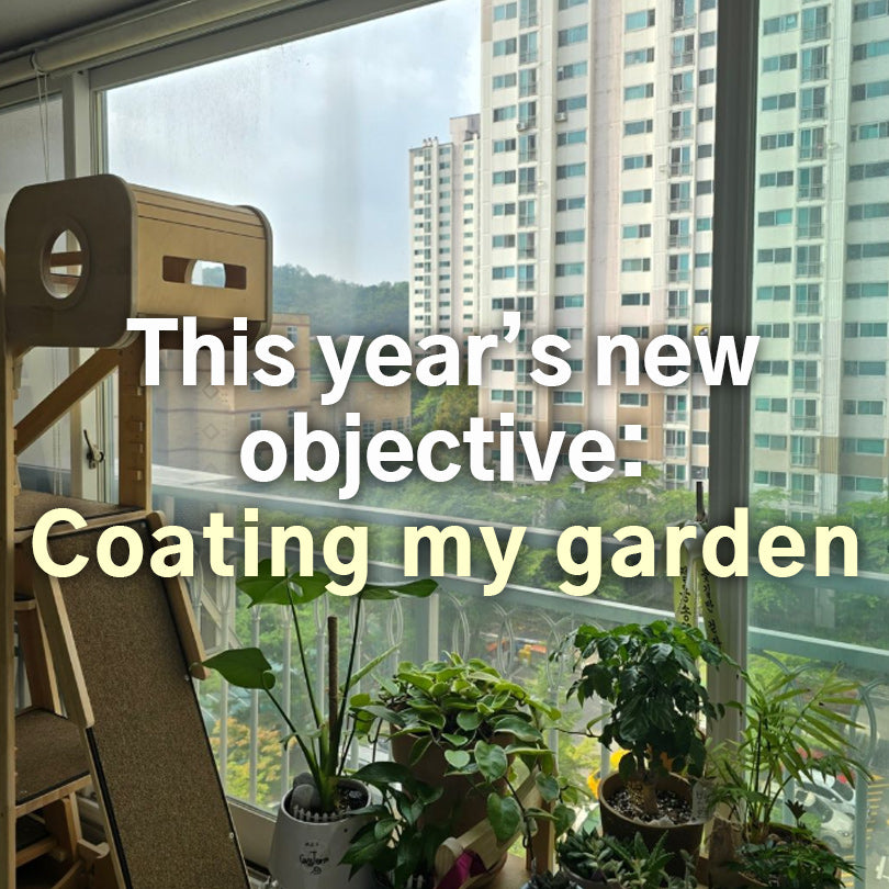 [DIARY] This year's new objective is cleaning and coating my garden in veranda